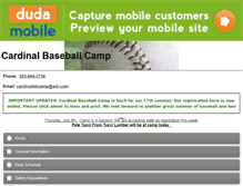 Tablet Screenshot of cardinalbaseballcamp.com